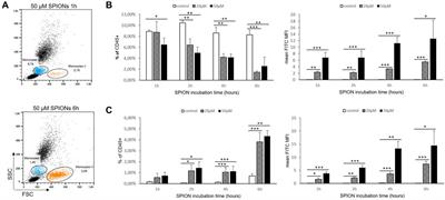 Impact of Superparamagnetic Iron Oxide Nanoparticles on THP-1 Monocytes and Monocyte-Derived Macrophages